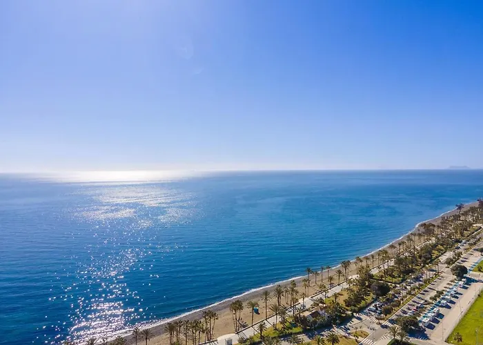 3 Bed Petunias, San Pedro