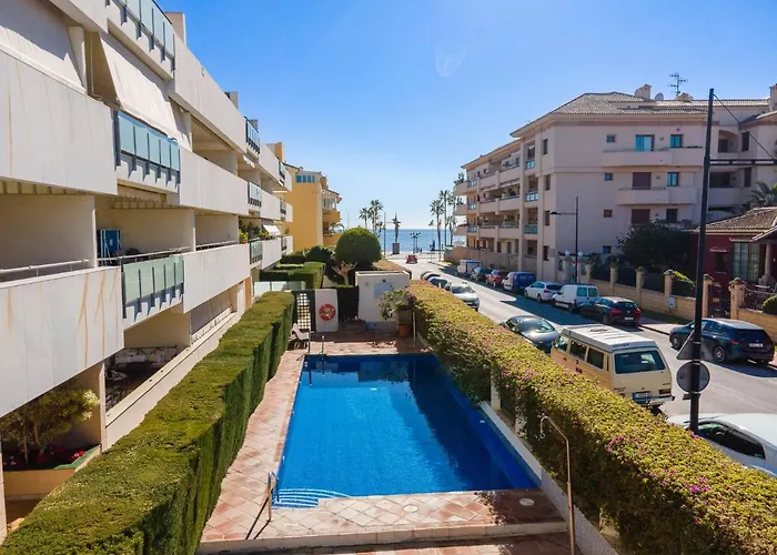 3 Bed Petunias, San Pedro